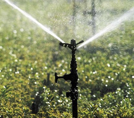 Projetos Agrícolas